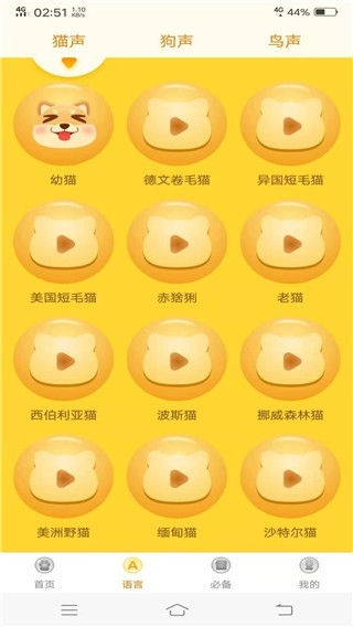宠物翻译器
